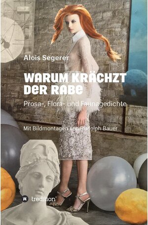 Buchcover Warum krächzt der Rabe / tredition | Alois Segerer | EAN 9783749790296 | ISBN 3-7497-9029-9 | ISBN 978-3-7497-9029-6