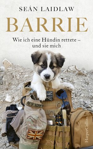 Buchcover Barrie – Wie ich eine Hündin rettete – und sie mich | Sean Laidlaw | EAN 9783749900121 | ISBN 3-7499-0012-4 | ISBN 978-3-7499-0012-1