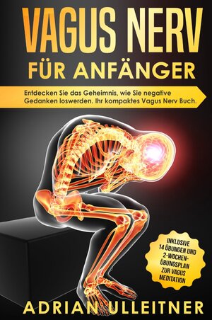 Buchcover Vagus Nerv für Anfänger | Adrian Ulleitner | EAN 9783750275416 | ISBN 3-7502-7541-6 | ISBN 978-3-7502-7541-6