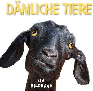 Buchcover Dämliche Tiere  | EAN 9783750505292 | ISBN 3-7505-0529-2 | ISBN 978-3-7505-0529-2