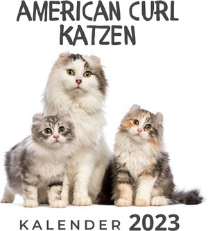 Buchcover American Curl Katzen | Bibi Hübsch | EAN 9783750529540 | ISBN 3-7505-2954-X | ISBN 978-3-7505-2954-0