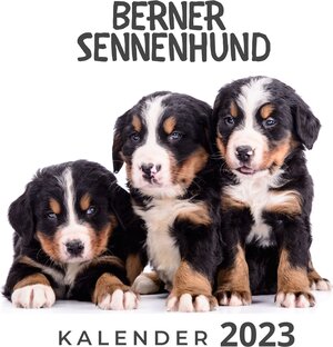 Buchcover Berner Sennenhund | Bibi Hübsch | EAN 9783750529953 | ISBN 3-7505-2995-7 | ISBN 978-3-7505-2995-3