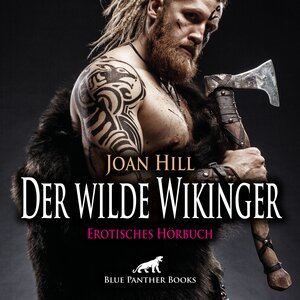 Buchcover Der wilde Wikinger | Erotik Audio Story | Erotisches Hörbuch Audio CD | Joan Hill | EAN 9783750792012 | ISBN 3-7507-9201-1 | ISBN 978-3-7507-9201-2