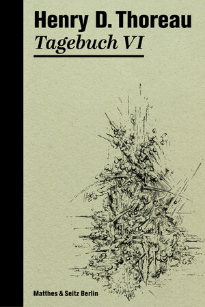 Buchcover Tagebuch VI | Henry David Thoreau | EAN 9783751810029 | ISBN 3-7518-1002-1 | ISBN 978-3-7518-1002-9