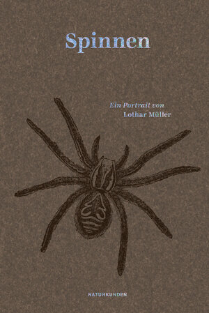 Buchcover Spinnen | Lothar Müller | EAN 9783751840200 | ISBN 3-7518-4020-6 | ISBN 978-3-7518-4020-0