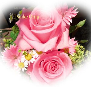 Buchcover Danke Oma | Adina Smaragd | EAN 9783751972215 | ISBN 3-7519-7221-8 | ISBN 978-3-7519-7221-5