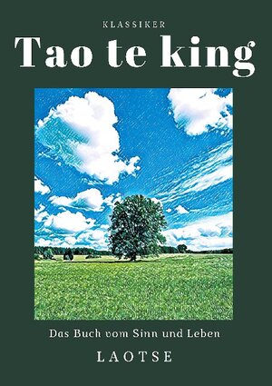 Buchcover Tao te king | Laotse | EAN 9783752609196 | ISBN 3-7526-0919-2 | ISBN 978-3-7526-0919-6
