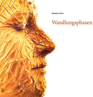 Buchcover Wandlungsphasen | Stephanie Menn | EAN 9783752687286 | ISBN 3-7526-8728-2 | ISBN 978-3-7526-8728-6