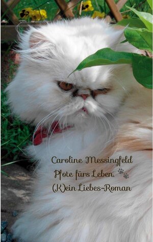 Buchcover Pfote fürs Leben. | Caroline Messingfeld | EAN 9783752694949 | ISBN 3-7526-9494-7 | ISBN 978-3-7526-9494-9