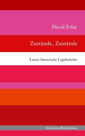 Buchcover Zustände, Zustände | David Erlay | EAN 9783752832983 | ISBN 3-7528-3298-3 | ISBN 978-3-7528-3298-3