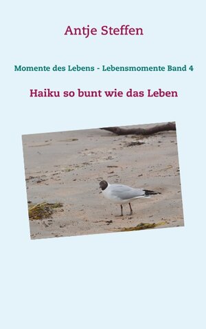 Buchcover Momente des Lebens - Lebensmomente Band 4 | Antje Steffen | EAN 9783752842197 | ISBN 3-7528-4219-9 | ISBN 978-3-7528-4219-7