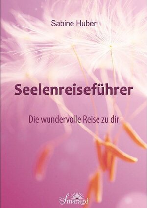 Buchcover Seelenreiseführer | Sabine Huber | EAN 9783752940947 | ISBN 3-7529-4094-8 | ISBN 978-3-7529-4094-7