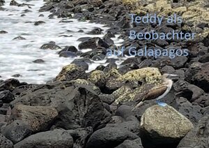 Buchcover Teddy in ... / Teddy als Beobachter auf Galapagos | Helga Merkelbach | EAN 9783752985016 | ISBN 3-7529-8501-1 | ISBN 978-3-7529-8501-6