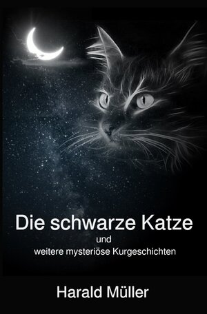 Buchcover Die schwarze Katze und weitere mysteriöse Kurzgeschichten | Harald Müller | EAN 9783752993028 | ISBN 3-7529-9302-2 | ISBN 978-3-7529-9302-8