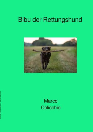 Buchcover Bibu der Rettungshund | Marco Colicchio | EAN 9783753100890 | ISBN 3-7531-0089-7 | ISBN 978-3-7531-0089-0