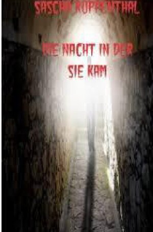 Buchcover Die Nacht in der Sie kam | Sascha Ruppenthal | EAN 9783753162539 | ISBN 3-7531-6253-1 | ISBN 978-3-7531-6253-9