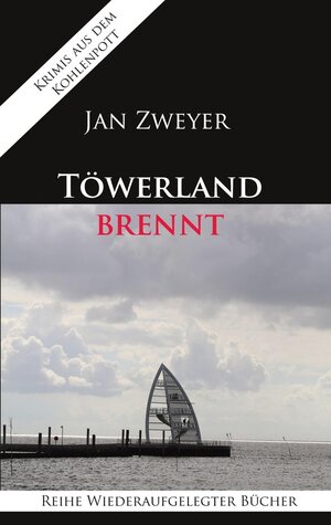 Buchcover Töwerland brennt | Jan Zweyer | EAN 9783753411293 | ISBN 3-7534-1129-9 | ISBN 978-3-7534-1129-3