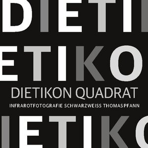 Buchcover Dietikon Quadrat | Thomas Pfann | EAN 9783753422145 | ISBN 3-7534-2214-2 | ISBN 978-3-7534-2214-5