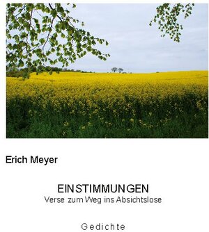 Buchcover Einstimmungen | Erich Meyer | EAN 9783753487304 | ISBN 3-7534-8730-9 | ISBN 978-3-7534-8730-4