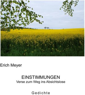 Buchcover Einstimmungen | Erich Meyer | EAN 9783753493930 | ISBN 3-7534-9393-7 | ISBN 978-3-7534-9393-0