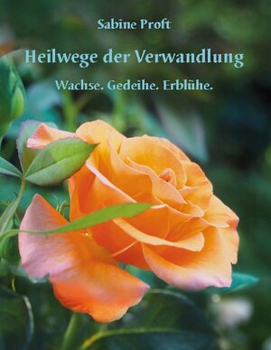 Buchcover Heilwege der Verwandlung | Sabine Proft | EAN 9783754344453 | ISBN 3-7543-4445-5 | ISBN 978-3-7543-4445-3