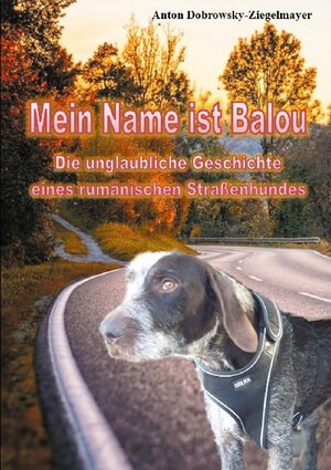 Buchcover Mein Name ist Balou | Anton Dobrowsky-Ziegelmayer | EAN 9783754346136 | ISBN 3-7543-4613-X | ISBN 978-3-7543-4613-6