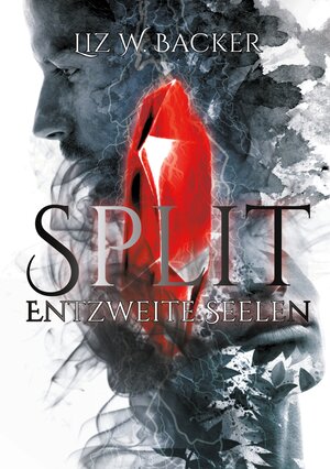 Buchcover Split | Liz W. Backer | EAN 9783754348451 | ISBN 3-7543-4845-0 | ISBN 978-3-7543-4845-1