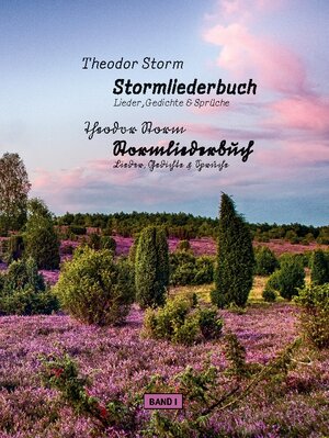 Buchcover Stormliederbuch - Sütterlin | Theodor Storm | EAN 9783754360958 | ISBN 3-7543-6095-7 | ISBN 978-3-7543-6095-8
