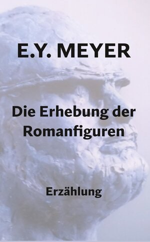 Buchcover Die Erhebung der Romanfiguren | E. Y. Meyer | EAN 9783754694336 | ISBN 3-7546-9433-2 | ISBN 978-3-7546-9433-6