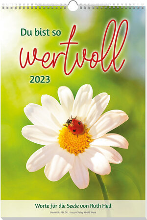 Buchcover Du bist so wertvoll 2023 | Ruth Heil | EAN 9783754804131 | ISBN 3-7548-0413-8 | ISBN 978-3-7548-0413-1