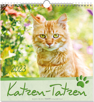 Buchcover Katzen-Tatzen 2023  | EAN 9783754829837 | ISBN 3-7548-2983-1 | ISBN 978-3-7548-2983-7