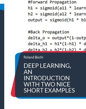 Buchcover Deep Learning, an introduction with two nice short examples | Roland Büchi | EAN 9783756832637 | ISBN 3-7568-3263-5 | ISBN 978-3-7568-3263-7