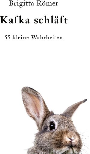 Buchcover Kafka schläft | Brigitta Römer | EAN 9783756837182 | ISBN 3-7568-3718-1 | ISBN 978-3-7568-3718-2
