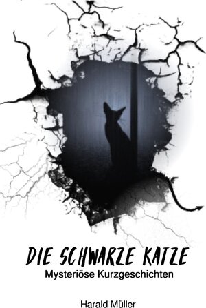 Buchcover Die schwarze Katze - Mysteriöse Kurzgeschichten | Harald Müller | EAN 9783757558031 | ISBN 3-7575-5803-0 | ISBN 978-3-7575-5803-1