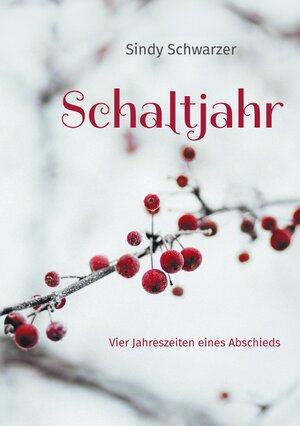 Buchcover Schaltjahr | Sindy Schwarzer | EAN 9783758309670 | ISBN 3-7583-0967-0 | ISBN 978-3-7583-0967-0