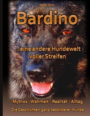 Buchcover Bardino | Stefan Klink | EAN 9783758325809 | ISBN 3-7583-2580-3 | ISBN 978-3-7583-2580-9