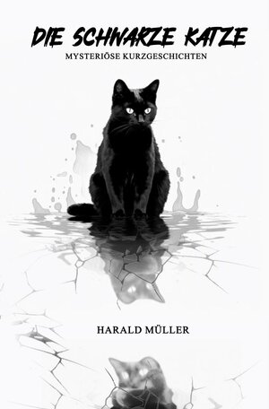 Buchcover Die schwarze Katze - Mysteriöse Kurzgeschichten | Harald Müller | EAN 9783758430664 | ISBN 3-7584-3066-6 | ISBN 978-3-7584-3066-4