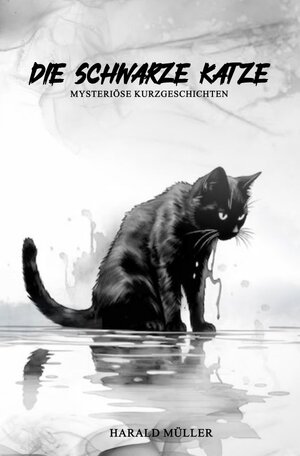 Buchcover Die schwarze Katze - Mysteriöse Kurzgeschichten | Harald Müller | EAN 9783758476303 | ISBN 3-7584-7630-5 | ISBN 978-3-7584-7630-3