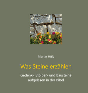 Buchcover Was Steine erzählen | Martin Hüls | EAN 9783760019215 | ISBN 3-7600-1921-8 | ISBN 978-3-7600-1921-5
