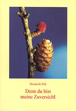 Buchcover Denn du bist meine Zuversicht | Heinrich Veh | EAN 9783760080925 | ISBN 3-7600-8092-8 | ISBN 978-3-7600-8092-5