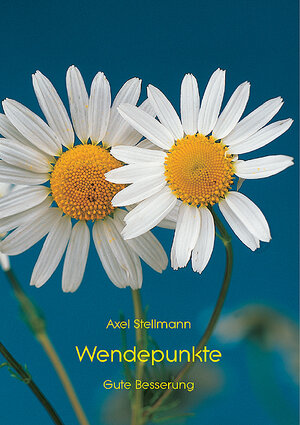 Buchcover Wendepunkte | Axel Stellmann | EAN 9783760080994 | ISBN 3-7600-8099-5 | ISBN 978-3-7600-8099-4