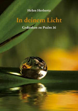 Buchcover In deinem Licht | Helen Herbertz | EAN 9783760081533 | ISBN 3-7600-8153-3 | ISBN 978-3-7600-8153-3