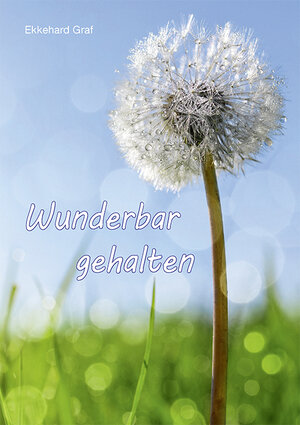 Buchcover Wunderbar gehalten | Ekkehard Graf | EAN 9783760084756 | ISBN 3-7600-8475-3 | ISBN 978-3-7600-8475-6
