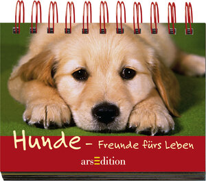 Buchcover Hunde - Freunde fürs Leben | EAN 9783760725628 | ISBN 3-7607-2562-7 | ISBN 978-3-7607-2562-8