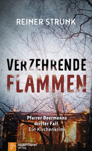 Buchcover Verzehrende Flammen | Reiner Strunk | EAN 9783761564196 | ISBN 3-7615-6419-8 | ISBN 978-3-7615-6419-6