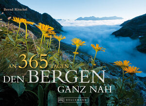 Buchcover Den Bergen ganz nah – Tischaufsteller | Bernd Ritschel | EAN 9783765462023 | ISBN 3-7654-6202-0 | ISBN 978-3-7654-6202-3