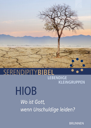 Buchcover Hiob | Heiko Wenzel | EAN 9783765507977 | ISBN 3-7655-0797-0 | ISBN 978-3-7655-0797-7