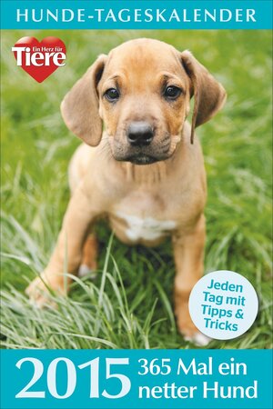 Buchcover Hunde-Tageskalender 2015  | EAN 9783765820465 | ISBN 3-7658-2046-6 | ISBN 978-3-7658-2046-5