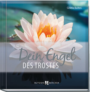 Buchcover Dein Engel des Trostes | Gisela Baltes | EAN 9783766625236 | ISBN 3-7666-2523-3 | ISBN 978-3-7666-2523-6