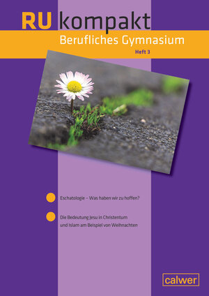Buchcover RU kompakt Berufliches Gymnasium Heft 3 | Andrea Chudaska | EAN 9783766845917 | ISBN 3-7668-4591-8 | ISBN 978-3-7668-4591-7